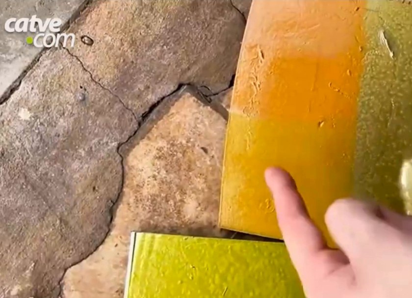 Test plates painted in different shades of yellow and gold